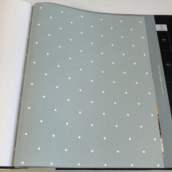 Andrea Rossi Spectrum Box 54454-17