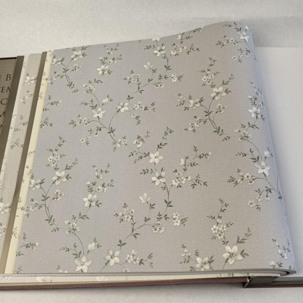 Alessandro Allori Bruni RBN 1001-3