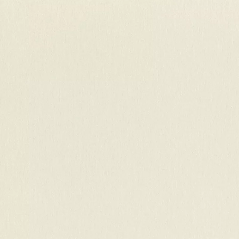 Rasch Wall Textures XL979367