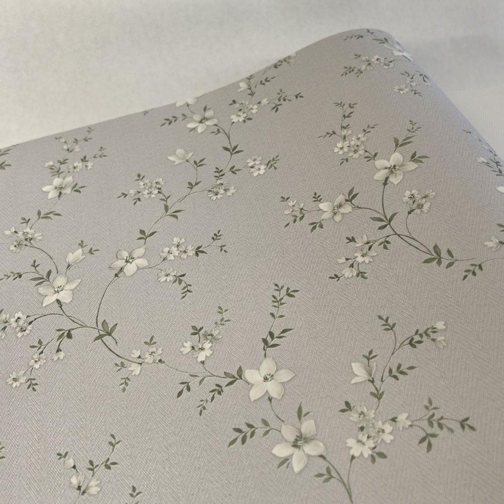 Alessandro Allori Bruni RBN 1001-3