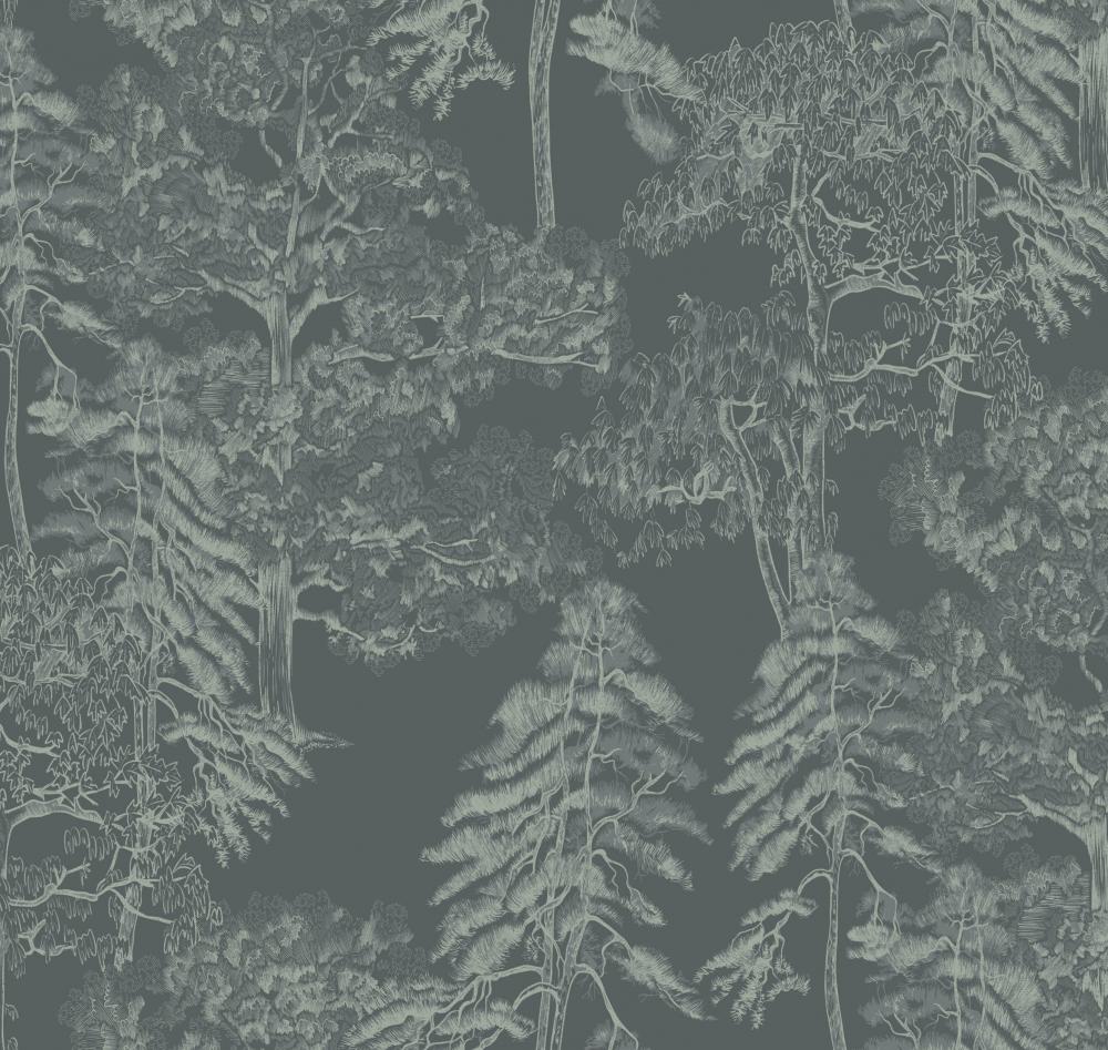 Milassa Ambient AM5 008