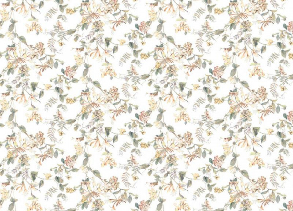 Marburg Flora 47455 Marburg Flora 47455