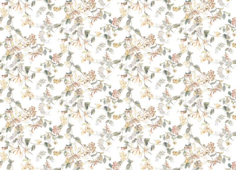 Marburg Flora 47455 Marburg Flora 47455